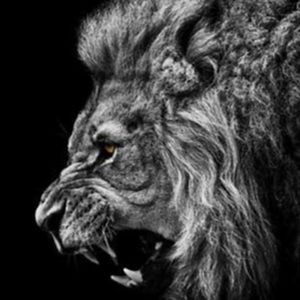 Meet your Posher, Damien